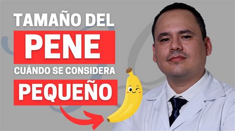 penes de 12 cm|Tamaño normal del pene: hasta qué edad crece (y otras dudas)